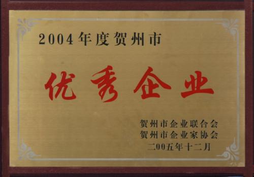 2004年 2004年度广西优秀企业