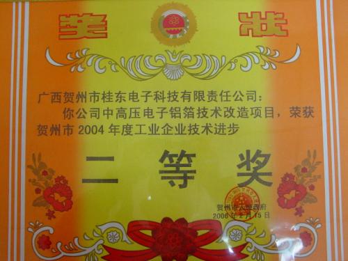 2004年 2004年度贺州市企业技术进步二等奖